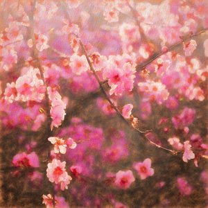 Spring Sprung
